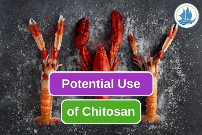 Chitosan: Revolutionizing Biomedical Field With Its Potential Uses